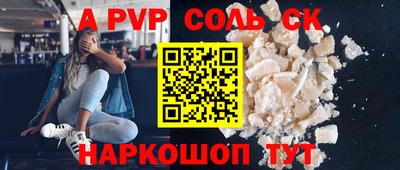 индика Кингисепп