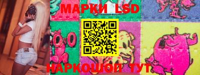 индика Кингисепп