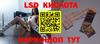 индика Кингисепп