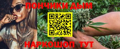 индика Кингисепп