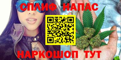 индика Кингисепп