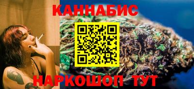 индика Кингисепп