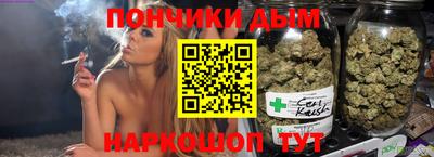 индика Кингисепп
