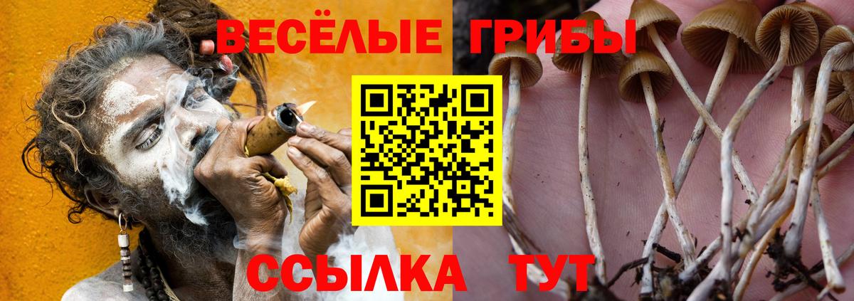 цены наркотик  Псилоцибиновые грибы Psilocybine cubensis  Вход с VPN  Уссурийск 